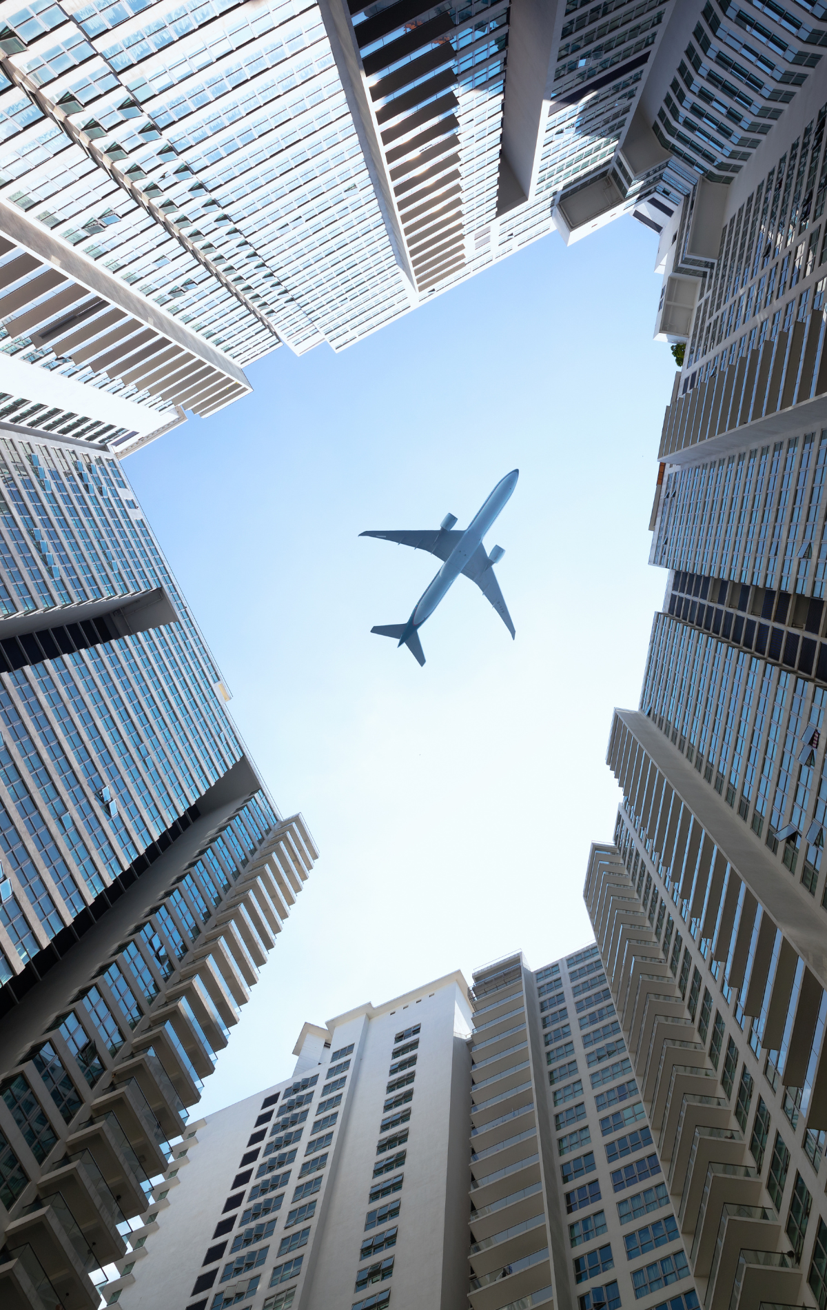 Pomme 1200 X 1900 Px 56